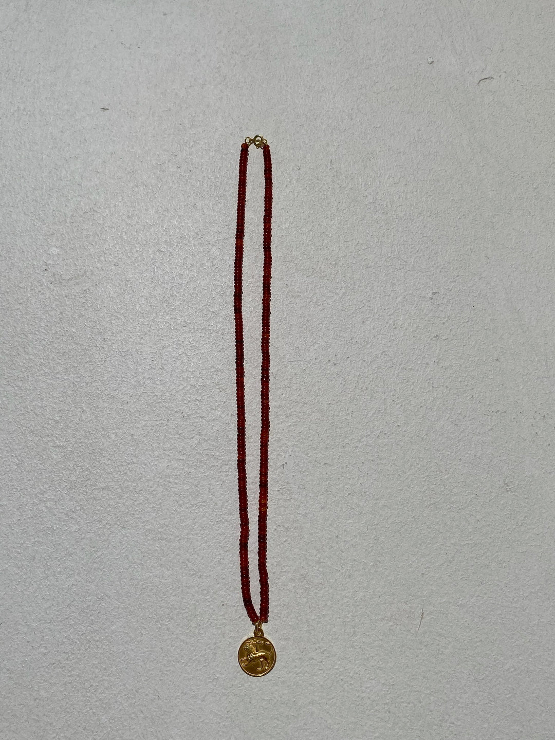 Chimera Amulet on Carnelian Beads