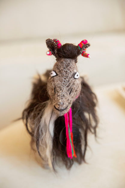 Pelusito the Fluffy Sheep