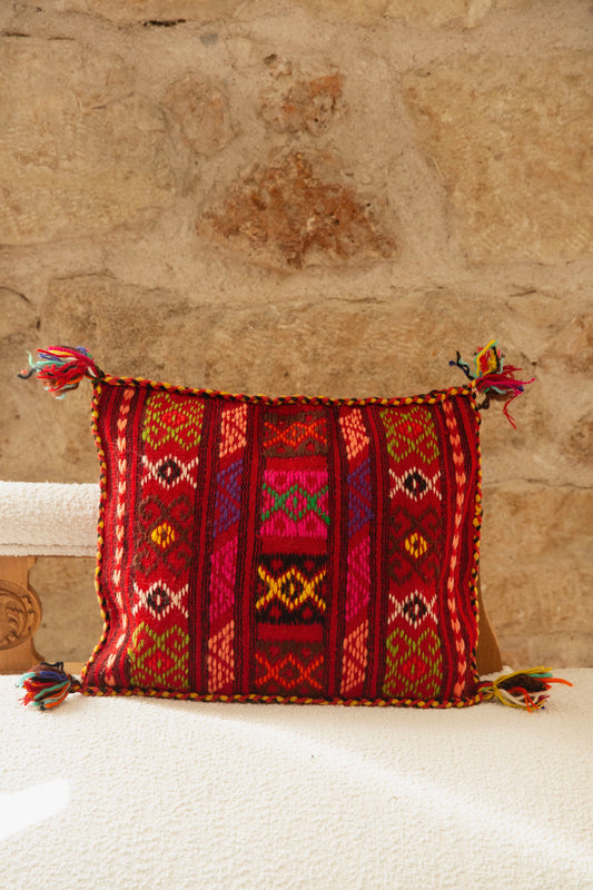 Lampi Vintage Pillow Cover