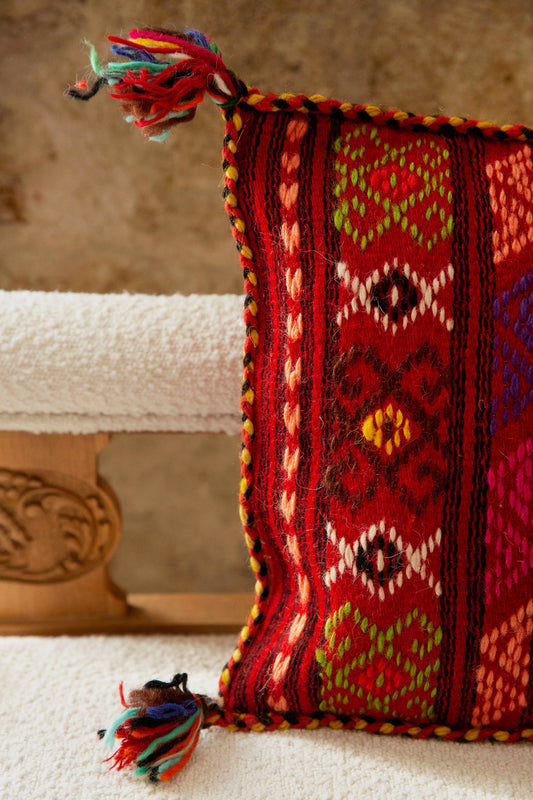 Lampi Vintage Pillow Cover