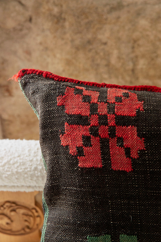 Ornitha Vintage Pillow Cover