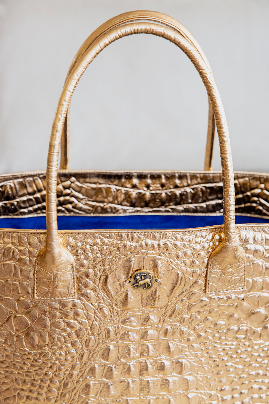 Odyssey Bag — Gold Metallic Series